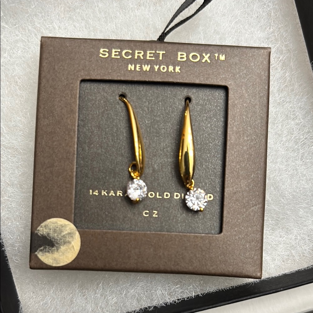 Secret Box Gold Earrings with CZ